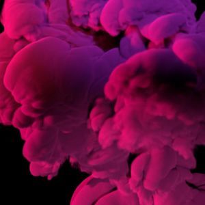 Meet your Posher, Allbout